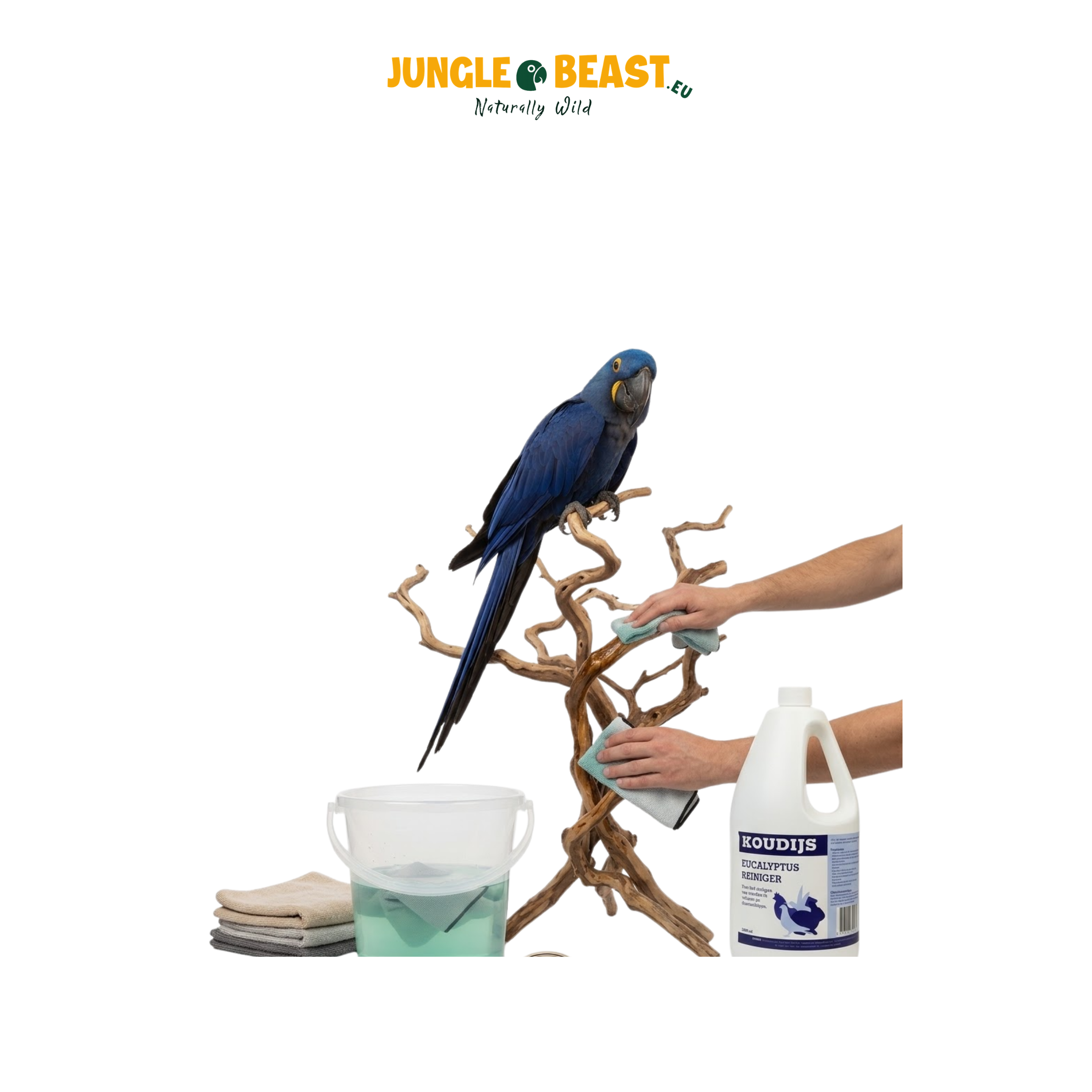 Reiniging | Koudijs Eucalyptus 2000 ml