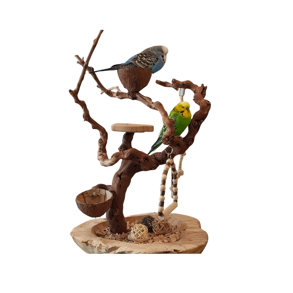 MysticForest | Dschungel-Spielmodus | kleine Papageien | handgemacht |