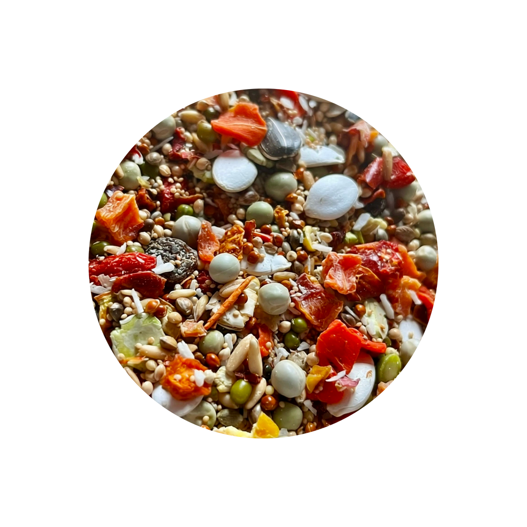 Grijze roodstaartpapegaai, Amazonepapegaai, Edelpapegaai, Pionuspapegaai, Caique, Senegalpapegaai, Meyers papegaai, Rüppells papegaai, Jardinepapegaai, Roodbuikpapegaai, Bruinkoppapegaai, Poicephalus nigricollis, Alexandrine parkiet, Grote Alexanderparkiet, Derbyparkiet, Patagoniëparkiet, Rosella, Pennantrosella, Stanleyrosella, Bleekkoprosella, Koningsparkiet, Princess of Wales-parkiet, Bergparkiet, Barrabandparkiet, Monniksparkiet, Zonparkiet, Jendayparkiet, Goudkapparkiet, Nandayparkiet, Blauwkruinparki