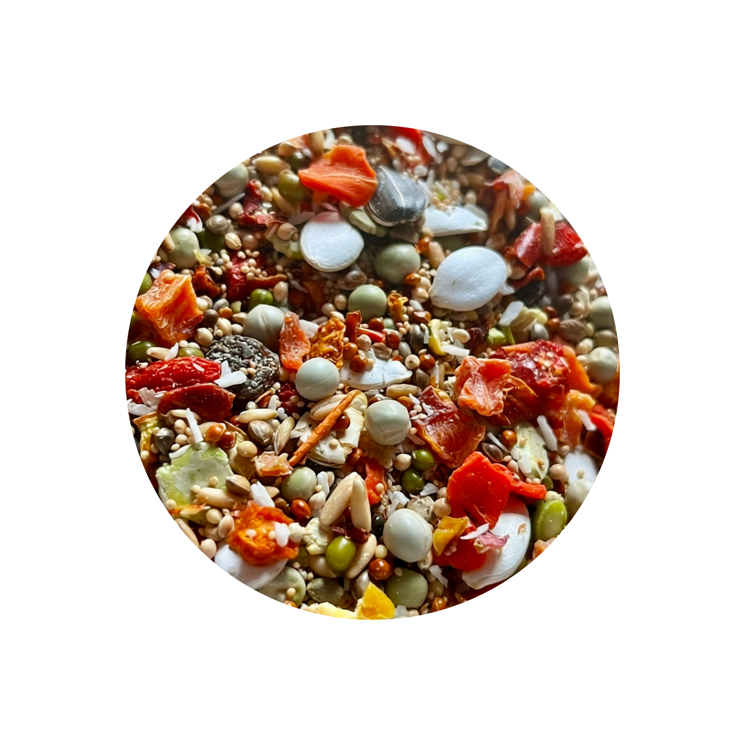 Grijze roodstaartpapegaai, Amazonepapegaai, Edelpapegaai, Pionuspapegaai, Caique, Senegalpapegaai, Meyers papegaai, Rüppells papegaai, Jardinepapegaai, Roodbuikpapegaai, Bruinkoppapegaai, Poicephalus nigricollis, Alexandrine parkiet, Grote Alexanderparkiet, Derbyparkiet, Patagoniëparkiet, Rosella, Pennantrosella, Stanleyrosella, Bleekkoprosella, Koningsparkiet, Princess of Wales-parkiet, Bergparkiet, Barrabandparkiet, Monniksparkiet, Zonparkiet, Jendayparkiet, Goudkapparkiet, Nandayparkiet, Blauwkruinparki