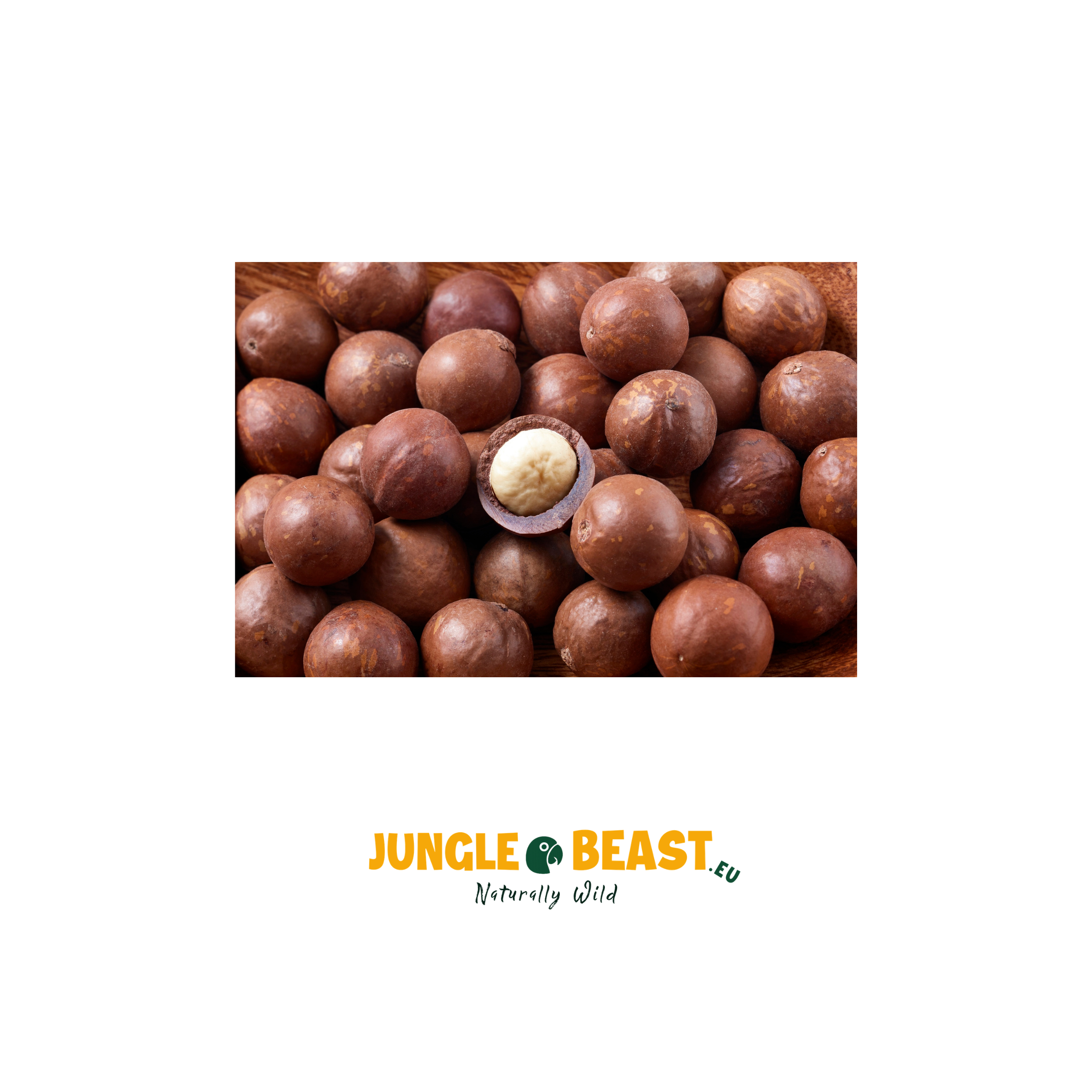 noten voor papegaaien macadamia