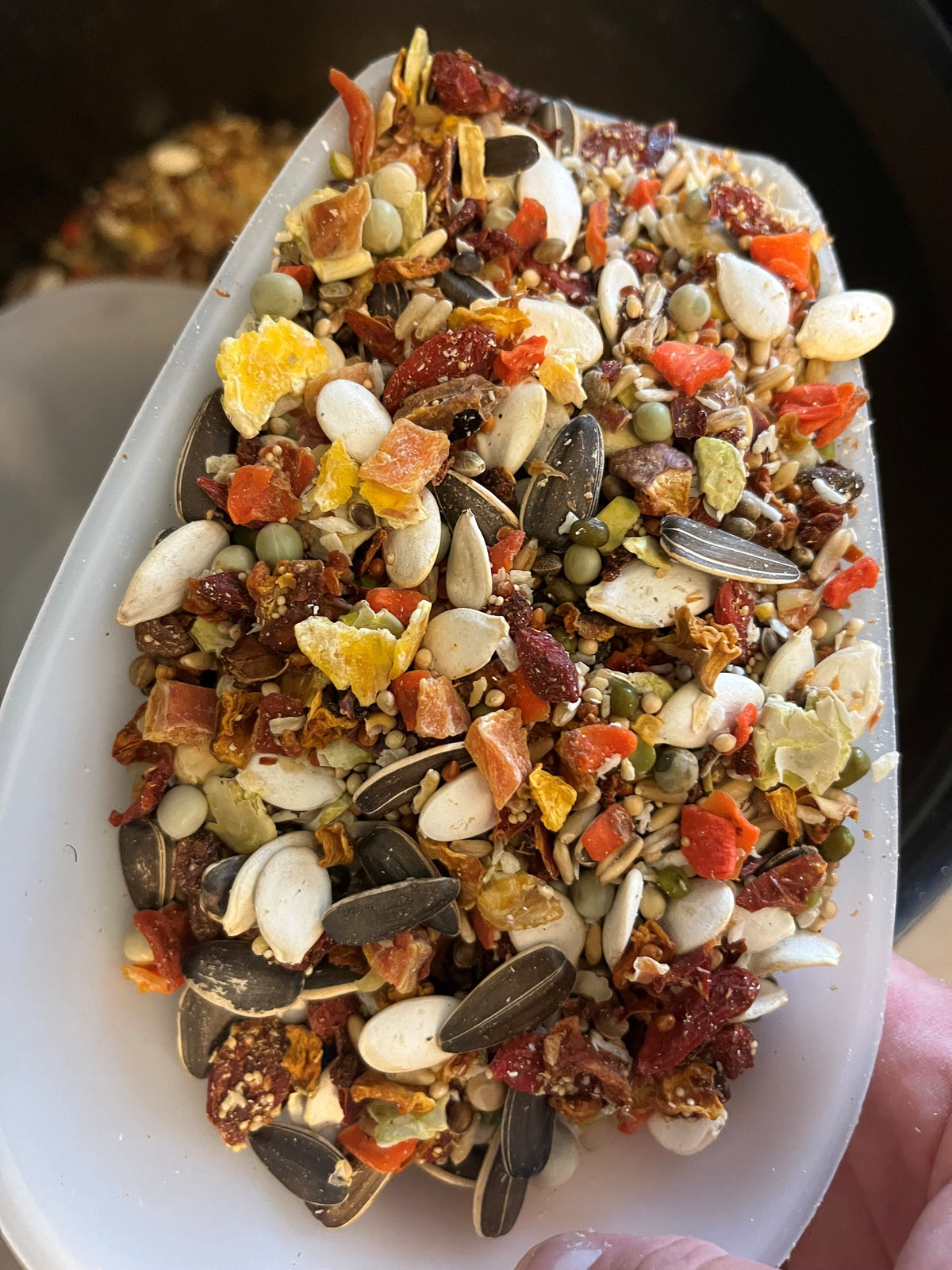 Amazone papegaaien| PUUR Blend