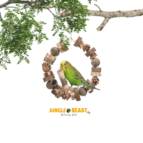 Trixie Houten Ringschommel met Dennenappels (18 cm) – Natuurlijke schommel voor parkieten