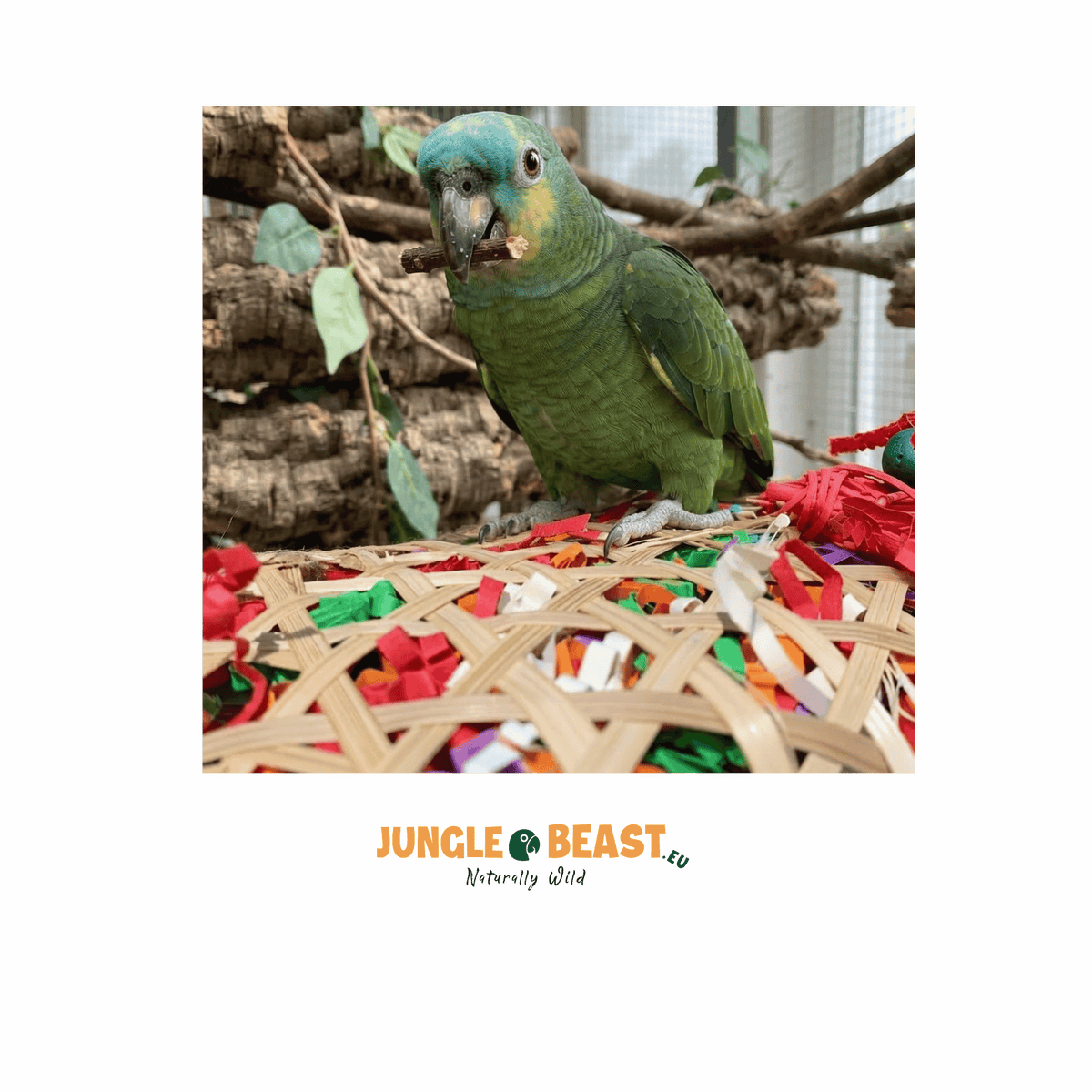 Back Zoo Nature Taco Waco Ca. 27X15 Cm