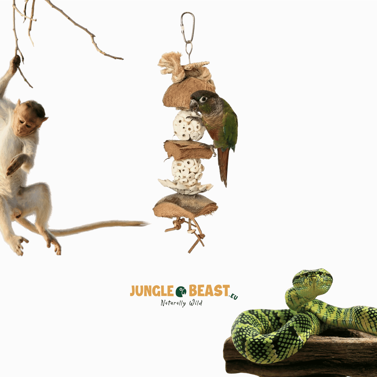 Back Zoo Nature Coco Shred Sola Ca. 30X8X8 Cm