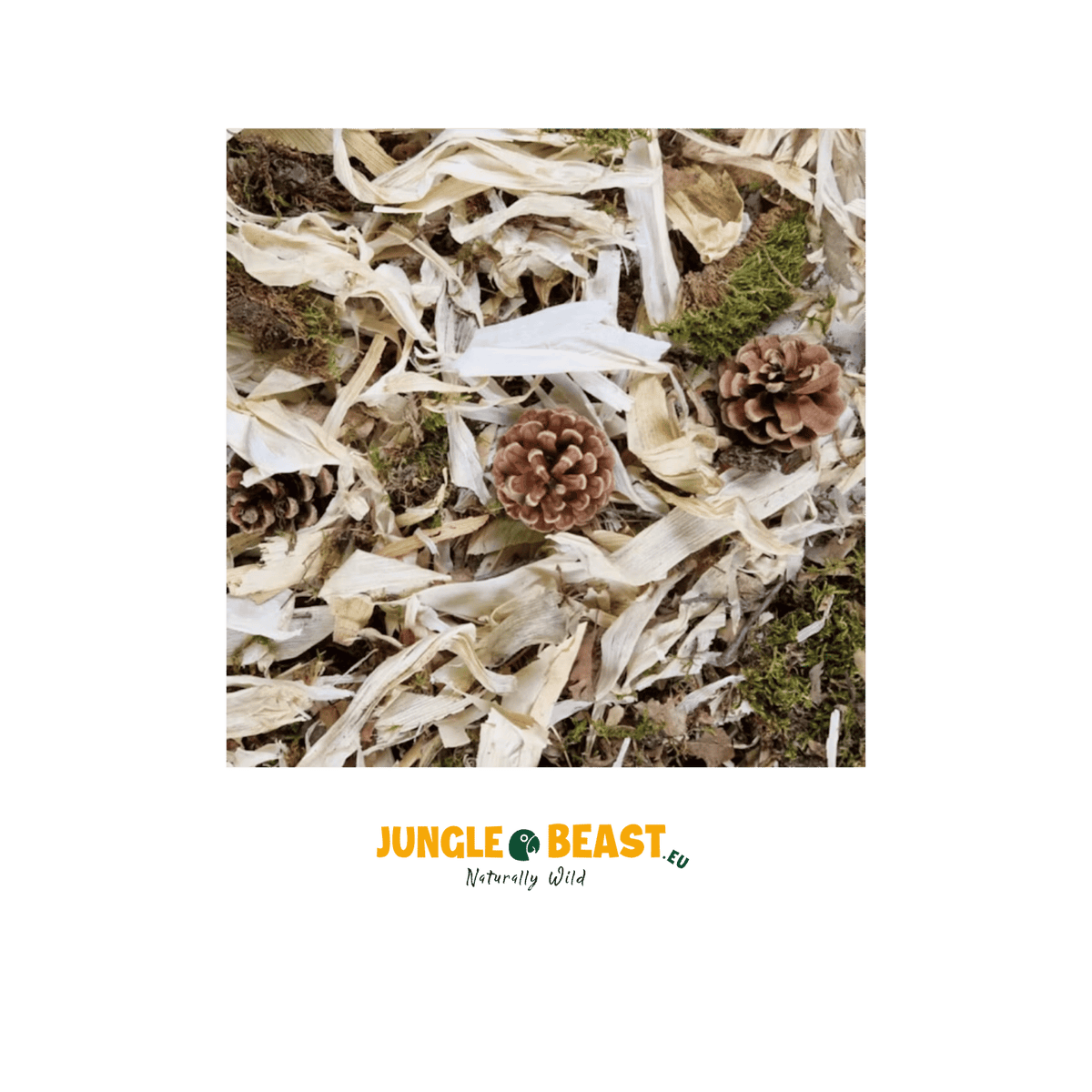 Back Zoo Nature Discovery Topping 10 Ltr