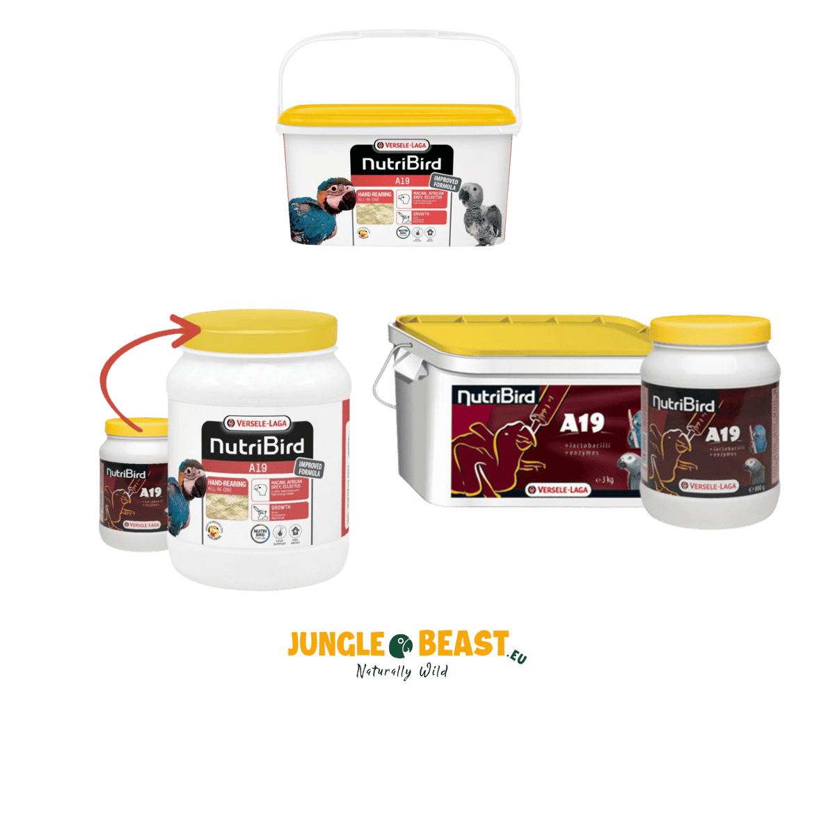 Nutribird A19 Papegaai 