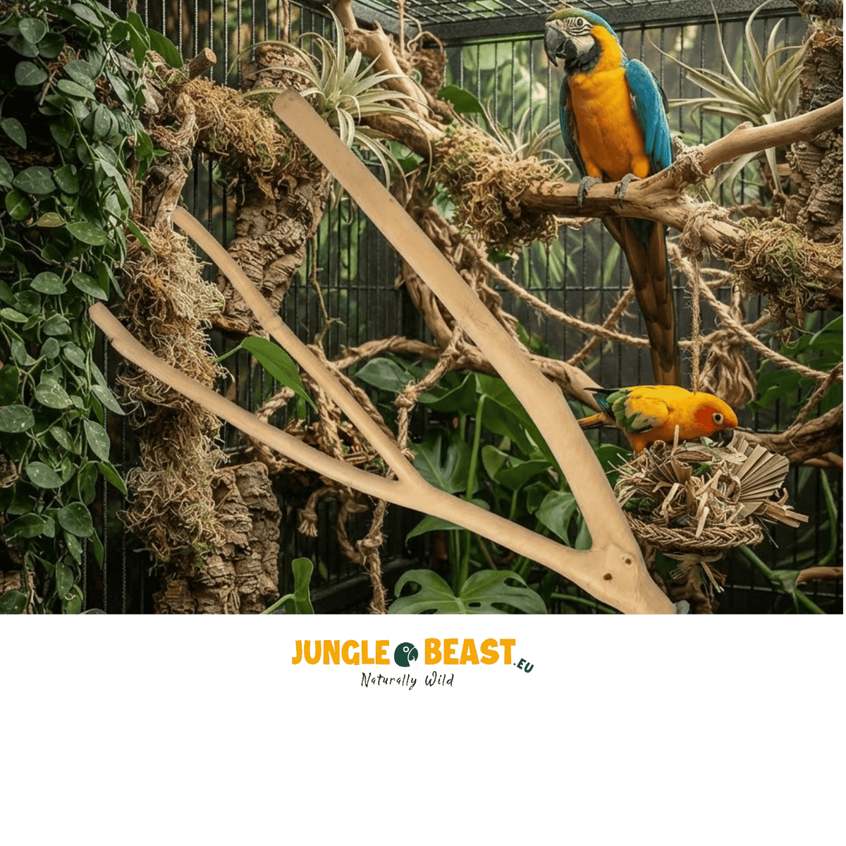 Back Zoo Nature Multi Branch Ca. 25X28X2 Cm