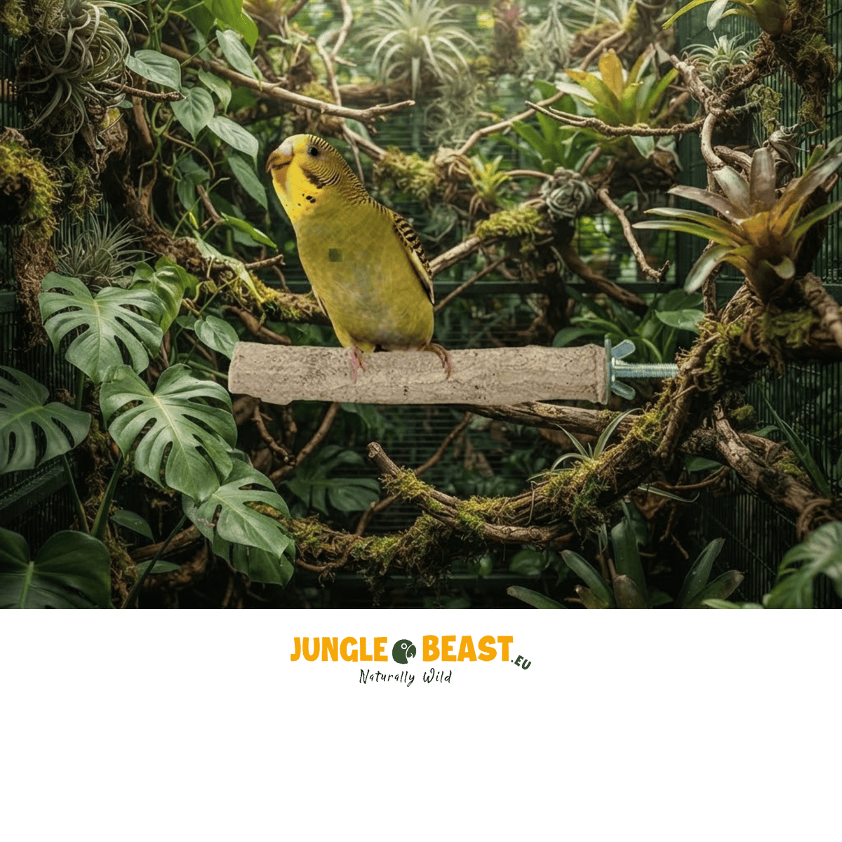 Back Zoo Nature Super Stone Perch