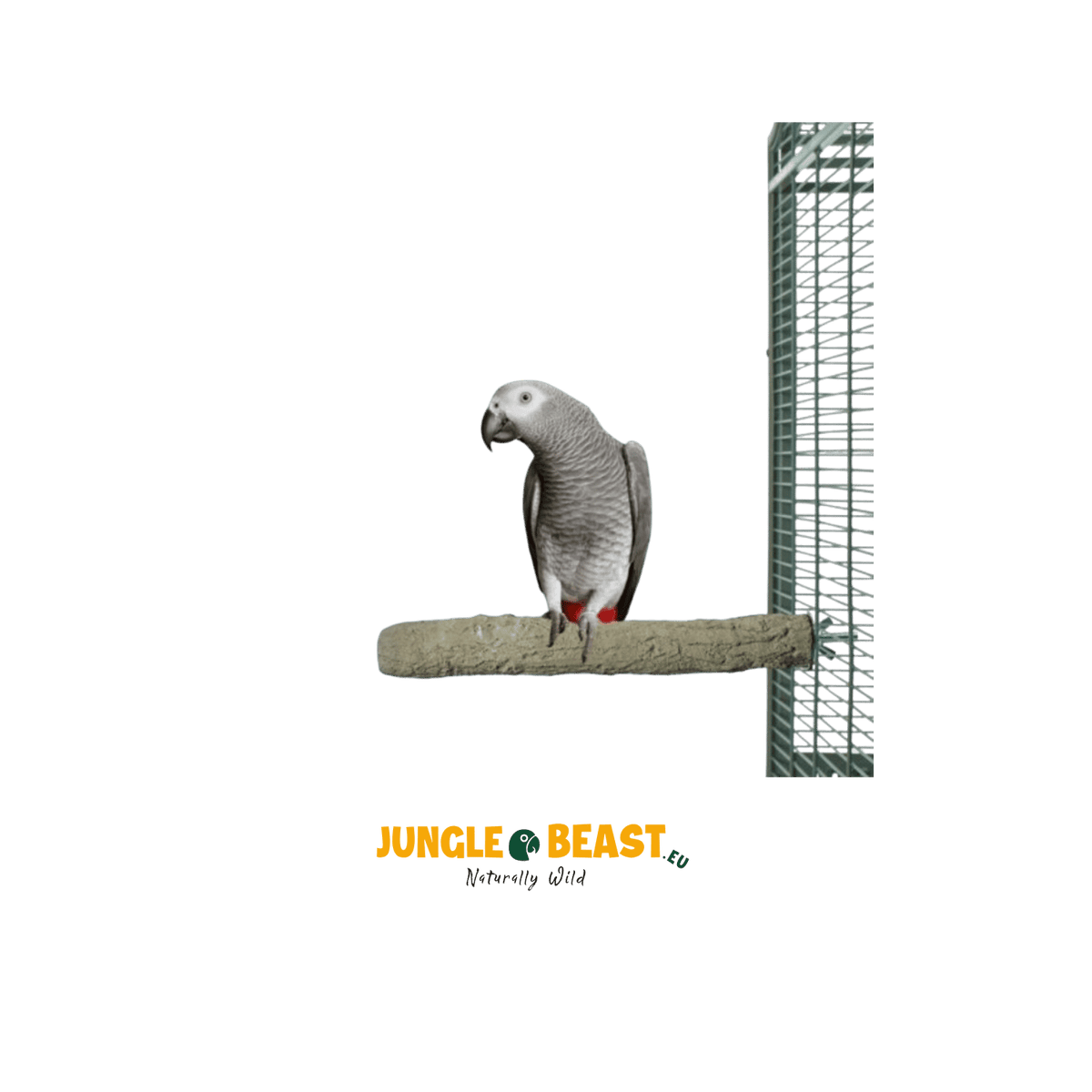 Back Zoo Nature Super Stone Perch