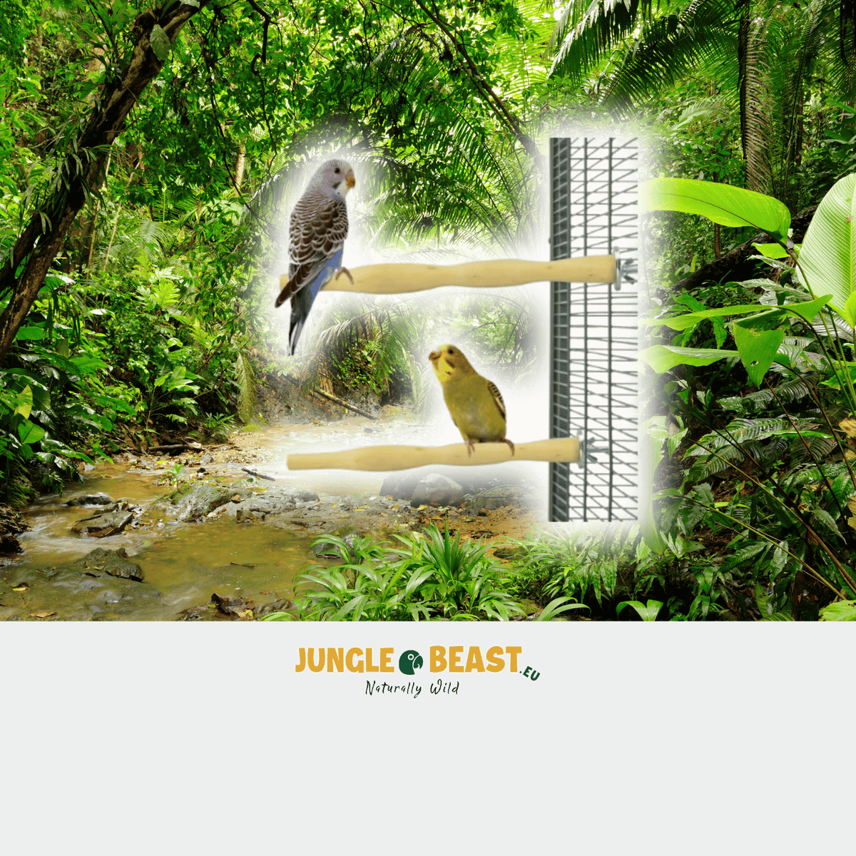 Back Zoo Nature Wood Perch 25 Cm 2 St