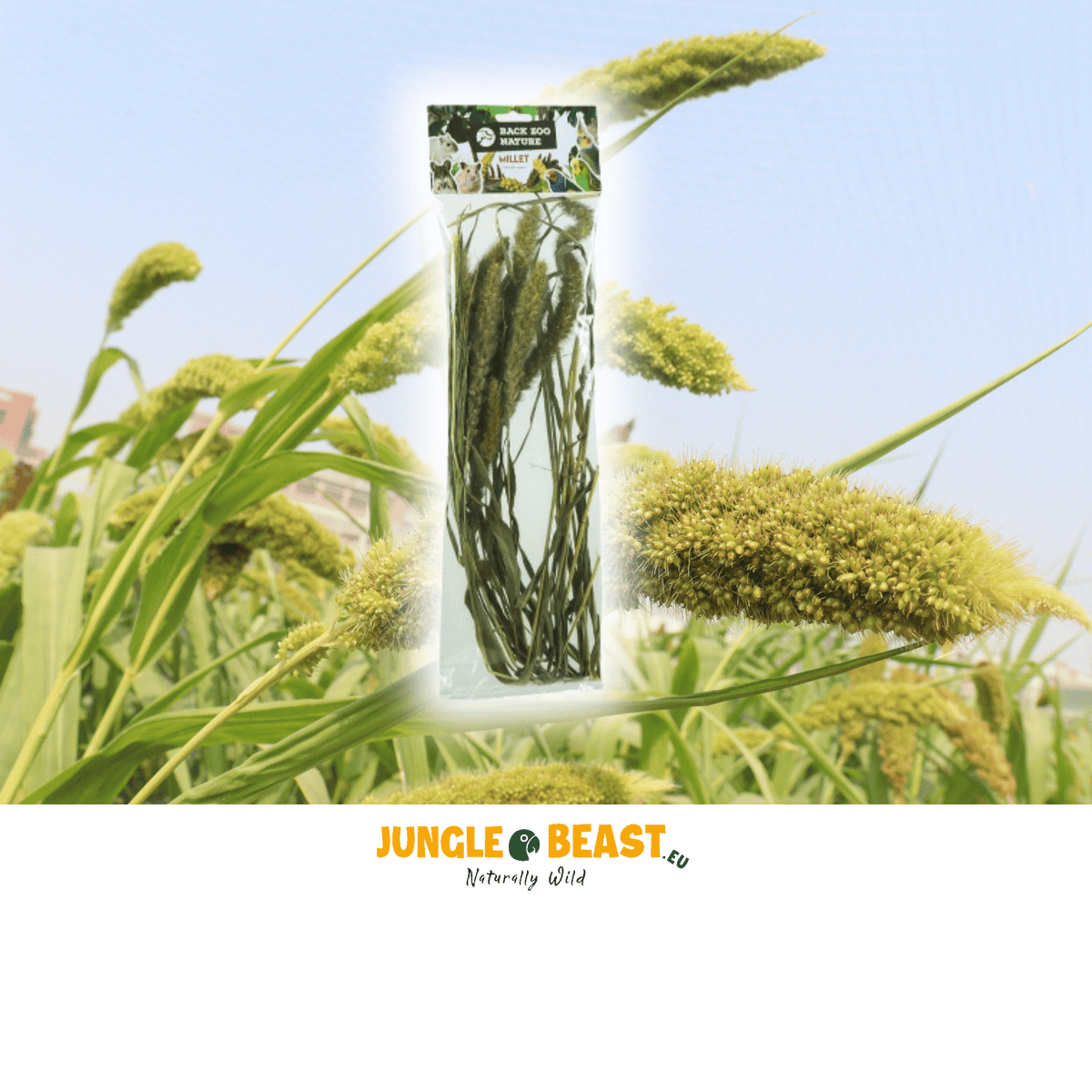 Back Zoo Nature Millet Setaria - Natuurlijke Vogelvoeding - 30g