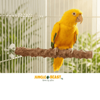 natuurlijke zitstok voor vogels
