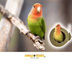 Natuurlijk speelgoed love bird