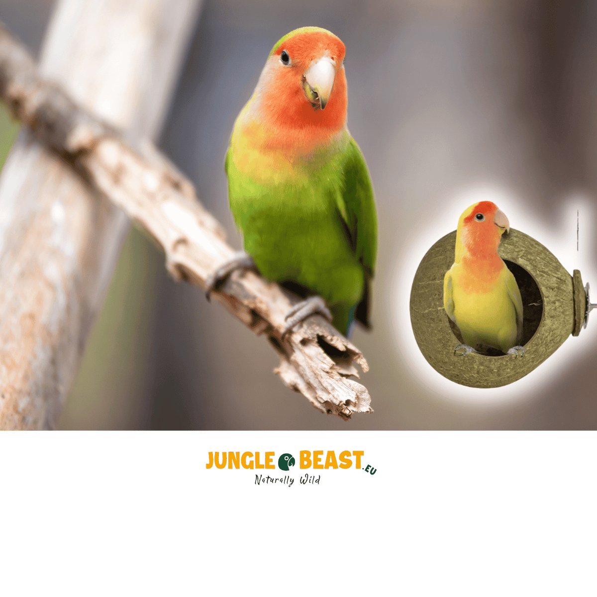 Natuurlijk speelgoed love bird