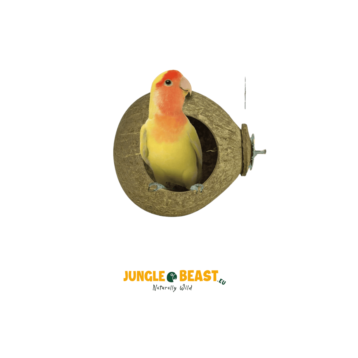 speelgoed love bird