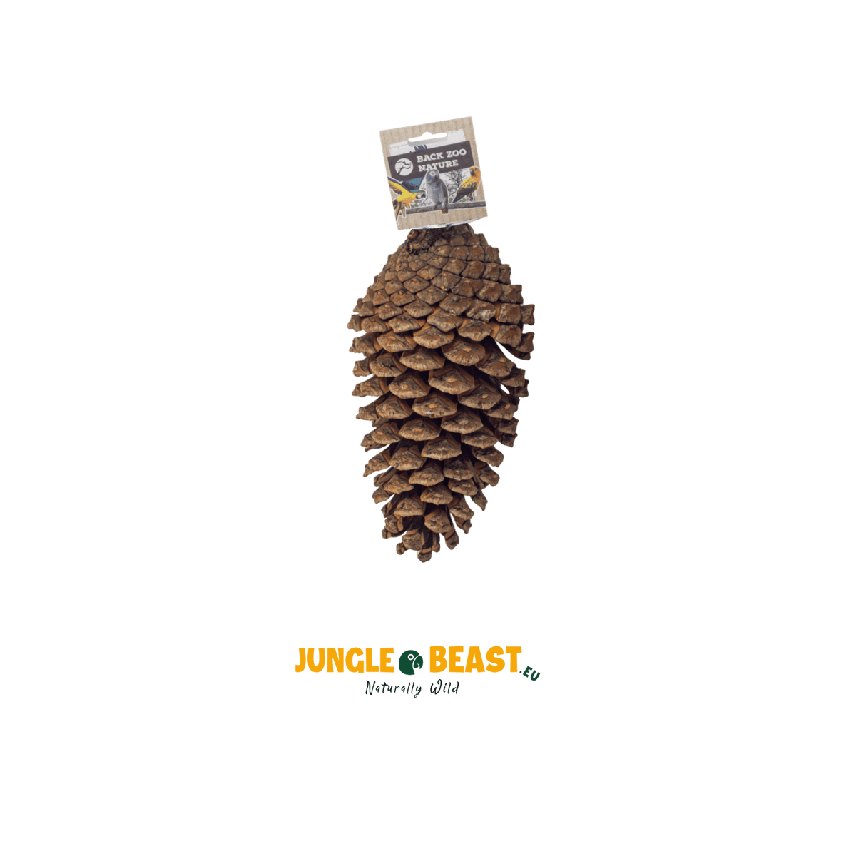 dennenappels papegaai