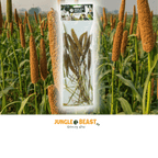 Back Zoo Nature Millet Setaria Italica 50 Gr