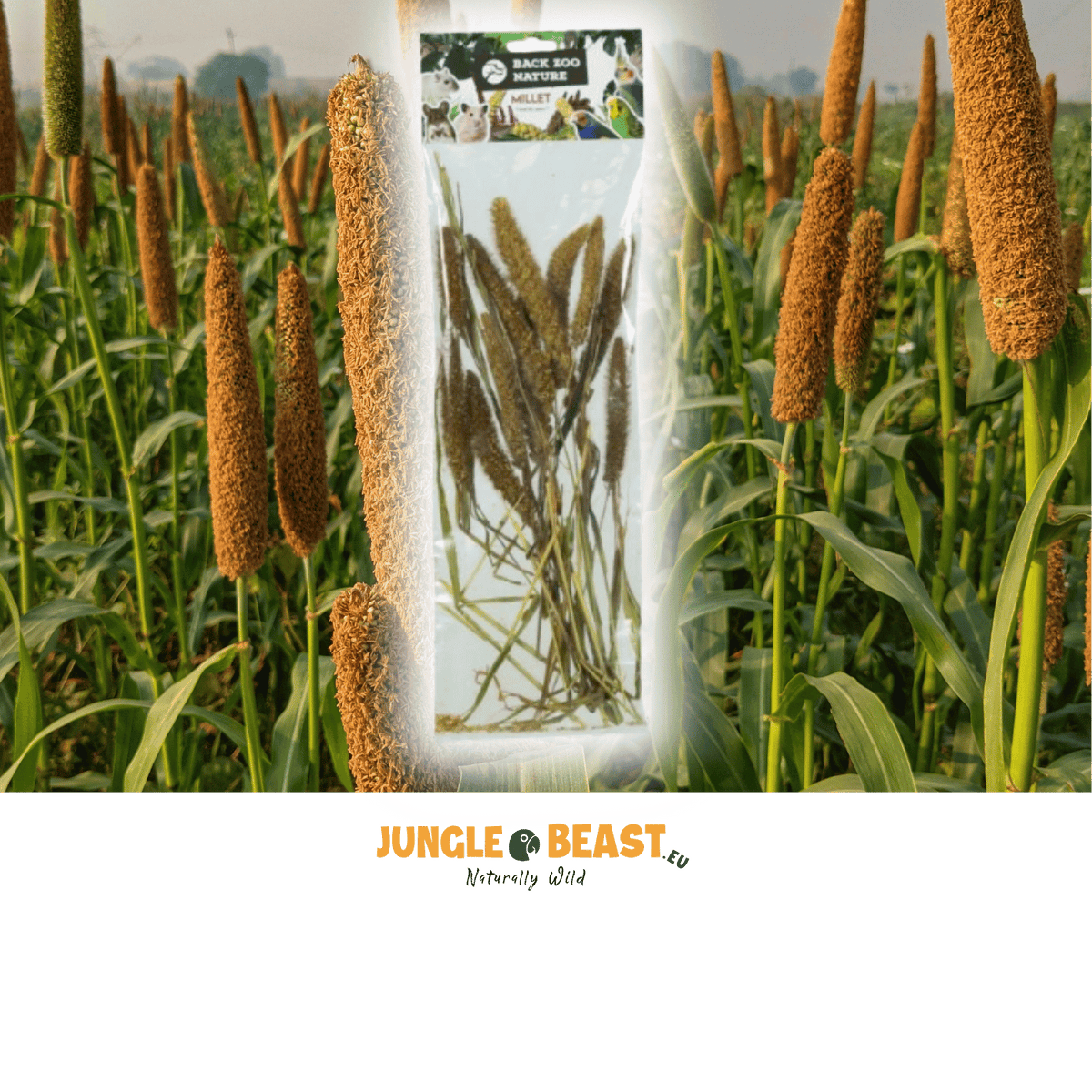 Back Zoo Nature Millet Setaria Italica 50 Gr