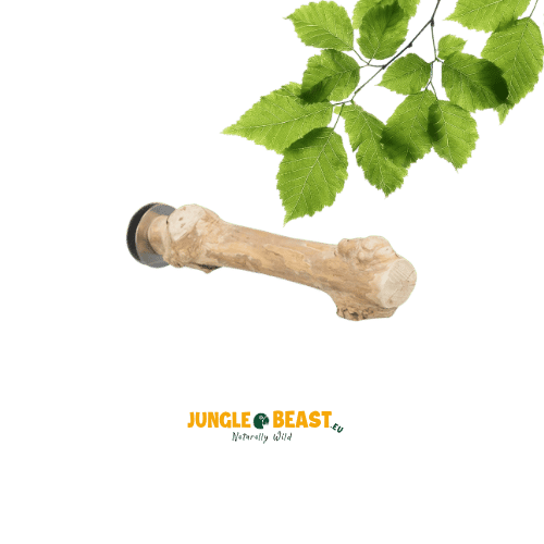 Trixie Koffiehout Zitstok (20 x 2-3 cm) – Natuurlijke tak voor gezonde pootjes