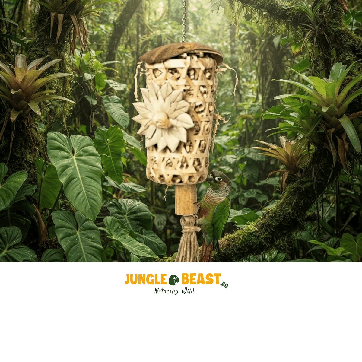 Back Zoo Nature Shredding Rocket Ca. 36X10X8 Cm